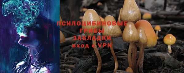 герыч Санкт-Петербург