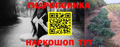 прущие крисы Абакан