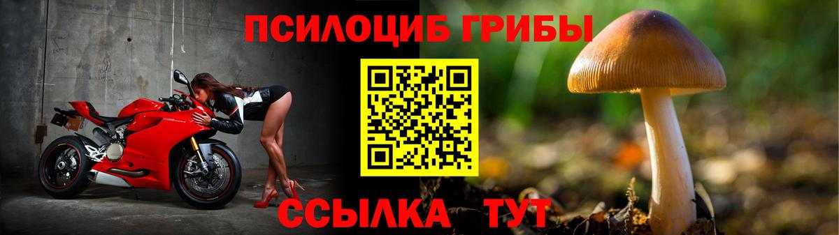 где купить наркоту  Псилоцибиновые грибы мухоморы  Анжеро-Судженск  Псилоцибиновые грибы ЛСД 