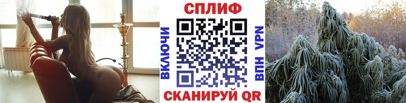 где найти наркотики  ссылка на мегу ТОР  Каннабис индика  Анжеро-Судженск 
