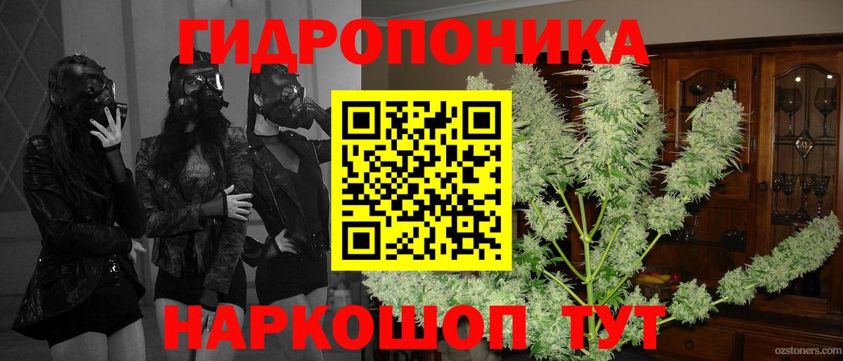 Шишки марихуана Bruce Banner  Марихуана ГИДРОПОН  Вход с VPN  Анжеро-Судженск  Шишки марихуана MAZAR 